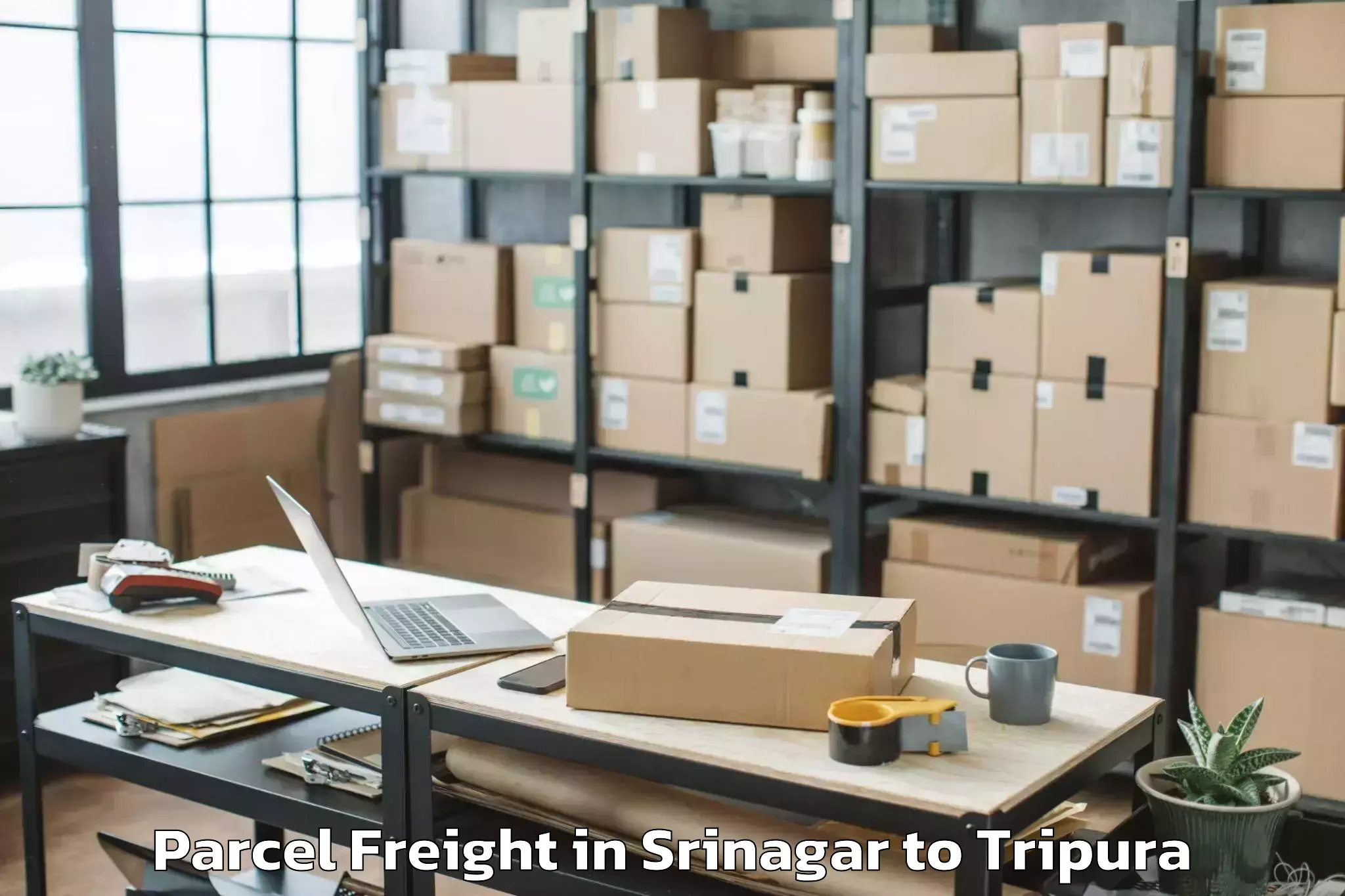 Leading Srinagar to Ambassa Parcel Freight Provider